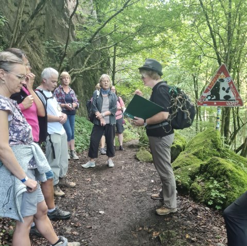 Mehrere Wanderer stehen nebeneinander auf einem Waldpfad und schauen zu einer Dame, die Ihnen etwas erklärt oder vorliest.
