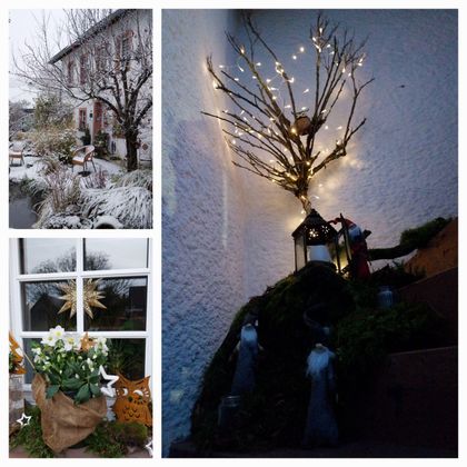 Een winterse buitenaanzicht met een versierde boom en lichten. Ook zijn er in de voorgrond planten en een versierde vensterbank te zien.