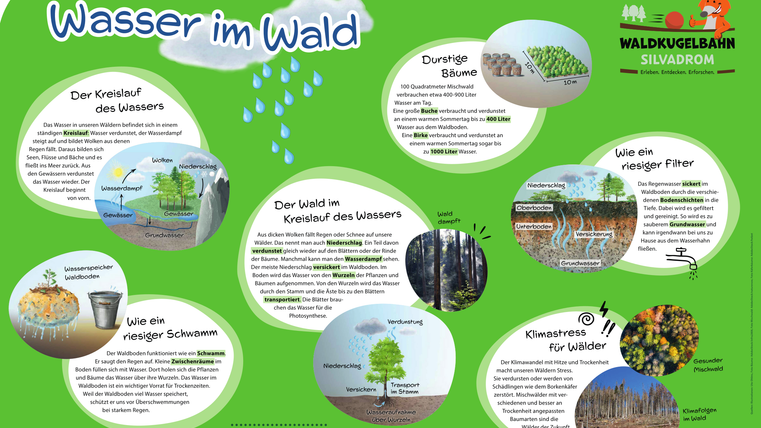 Informationsschild "Wasser im Wald" mit Infos zum Wasserkreislauf, Wasserfilterung, Klima und vieles mehr.