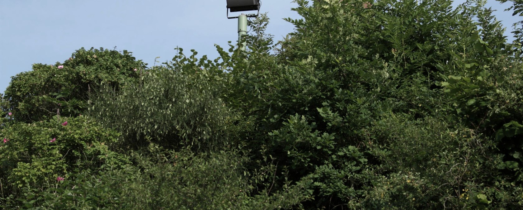 Mariensäule (1), © Regnery