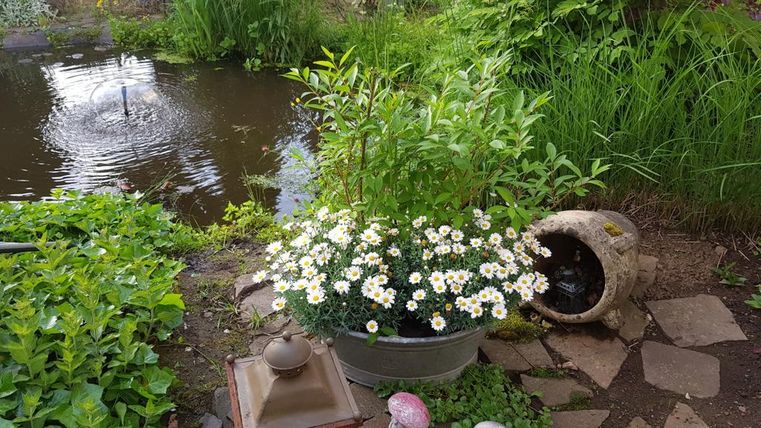 Een mooie tuin met een vijver en bloeiende bloemen. Op de voorgrond zijn een kandelaars en meerdere kleine paddenstoelen te zien.