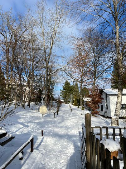 Een besneeuwd pad tussen bomen leidt naar een heldere lucht. Aan beide zijden bevinden zich huizen en een winterlandschap.