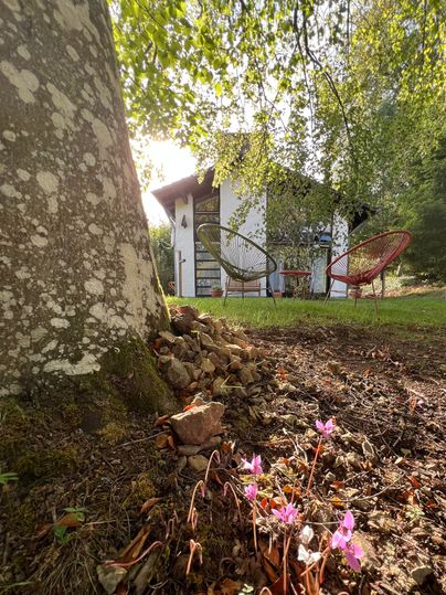 Een gezellig huis met grote ramen, omringd door groene natuur. Op de voorgrond bloeien roze bloemen op de grond.