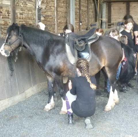 Vorbereitung f&uuml;r den Ausritt, &copy; Ruth M&uuml;hlau und Petra Sieger