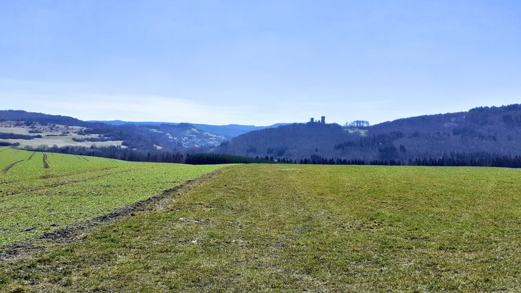 Landschaft mit grünen Feldern und Kasselburg am Horizont.