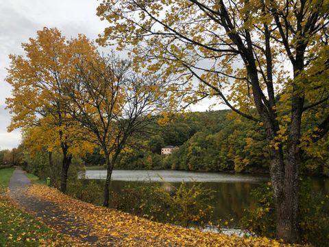 Herbstlandschaft am Wirftstausee in Stadtkyll mit gelben Blättern und einem Weg entlang des Wassers.