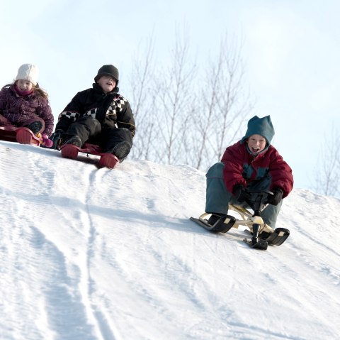 Drei Kinder in Schneeanz&uuml;gen und mit M&uuml;tzen und Handschuehn bekleidet sitzen auf Schlitten und fahren einen steilen Hang hinunter.