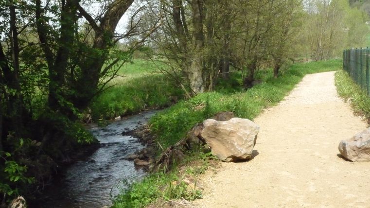 Ein schmaler Bach fließt neben einem sandigen Weg, umgeben von Bäumen und Gras.