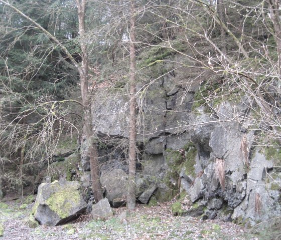 A rocky forest landscape with moss-covered stones and bare trees that create a natural, tranquil environment., © Touristik GmbH Gerolsteiner Land, Ute Klinkhammer