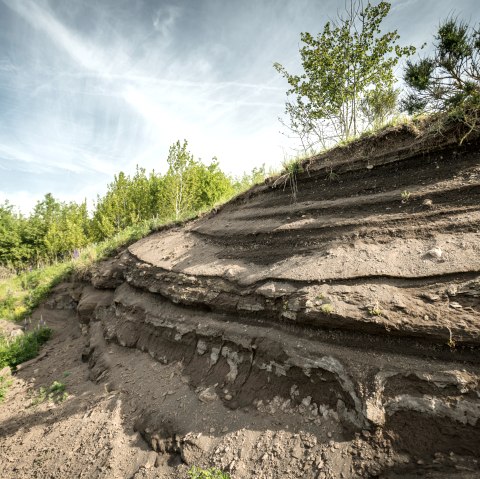 Layers of volcanic rock in a landscape with trees and blue sky.