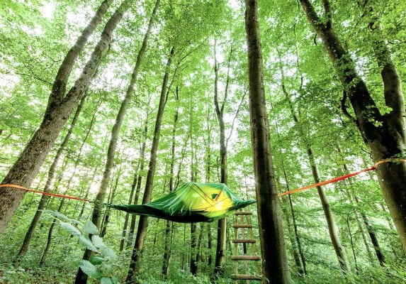 Boomtent overnachting "Dromen in de bomen"
Eifelavonturen, Berlingen