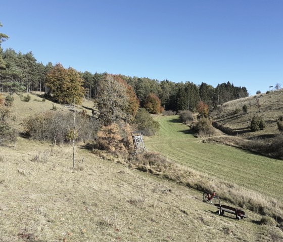 Herfstlandschap met rotsen en weiden onder een strakblauwe hemel., © Touristik GmbH Gerolsteiner Land
