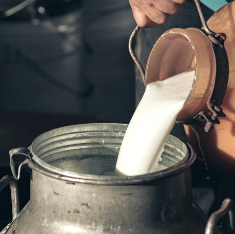 Milchherstellung, &copy; canva