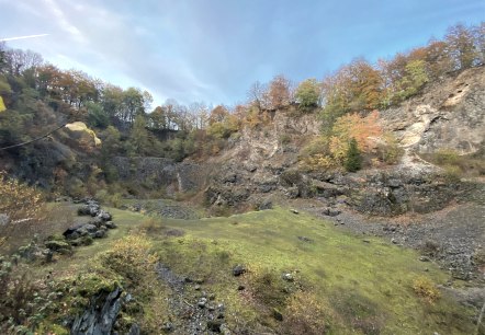 Herbstliche Landschaft mit Felsen und buntem Laub. Gr&uuml;ne Wiese im Vordergrund, B&auml;ume mit Herbstlaub auf den Felsen im Hintergrund.