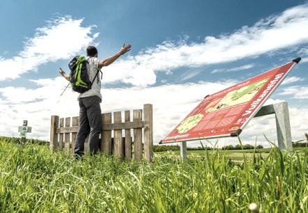 View over the garden fence on the Vulcano Trail hiking trail, © Eifel Tourismus GmbH, D. Ketz