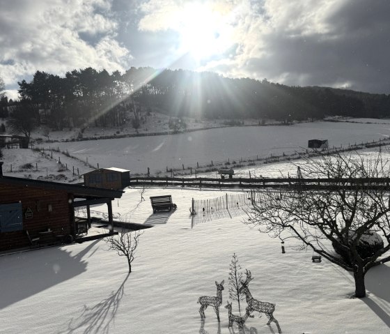 Winter am Chalet, &copy; Odenthal / EifelChalet 2026