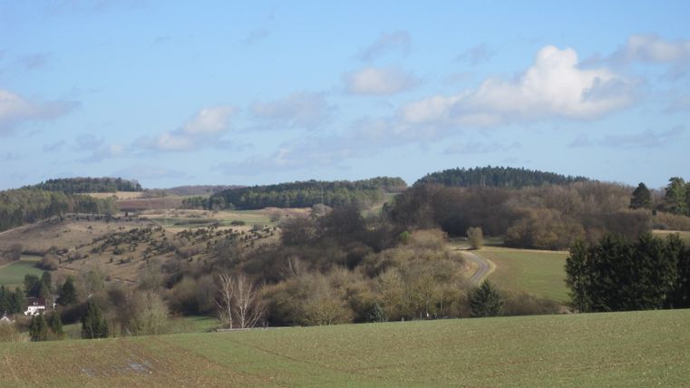 Hügelige Landschaft mit Feldern, Bäumen und einem gewundenen Weg unter blauem Himmel.