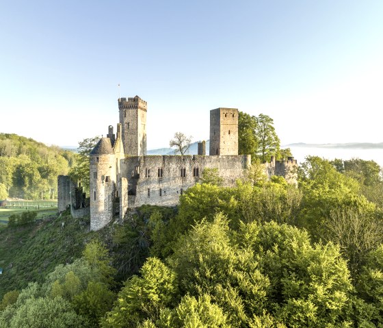 Luchtfoto van Kasteel Kasselburg in Pelm, omringd door groene bomen en een heldere hemel., © Eifel Tourismus GmbH, Dominik Ketz