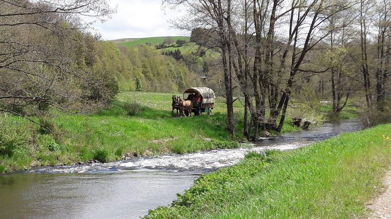 Eine ruhige Landschaft mit einem Fluss, umgeben von Bäumen und Wiesen. Auf der anderen Seite steht ein Pferdewagen am Ufer.