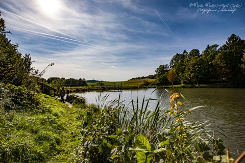 Der Gerolsteiner Stausee liegt umgeben von Wäldern und Wiesen vor uns. Der Himmel ist blau und die Sonne scheint durch ein paar Wolken.