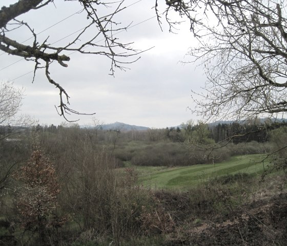 View of a hilly landscape with trees and meadows, Kassel Castle in the background. Branches frame the picture., © Touristik GmbH Gerolsteiner Land, Ute Klinkhammer