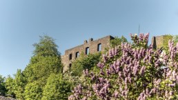 Blick auf die Burgruine Ulmen, © GesundLand Vulkaneifel/D. Ketz