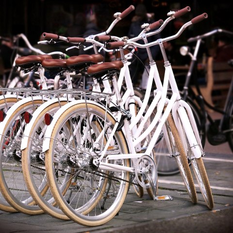 Four identical bicycles are parked next to each other. More bicycle models can be seen in the background.