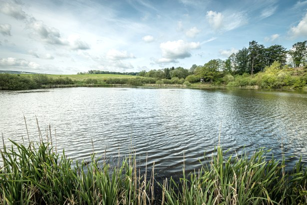 Das kleinste Maar der Eifel: Das Eichholzmaar, © Eifel Tourismus GmbH, Dominik Ketz