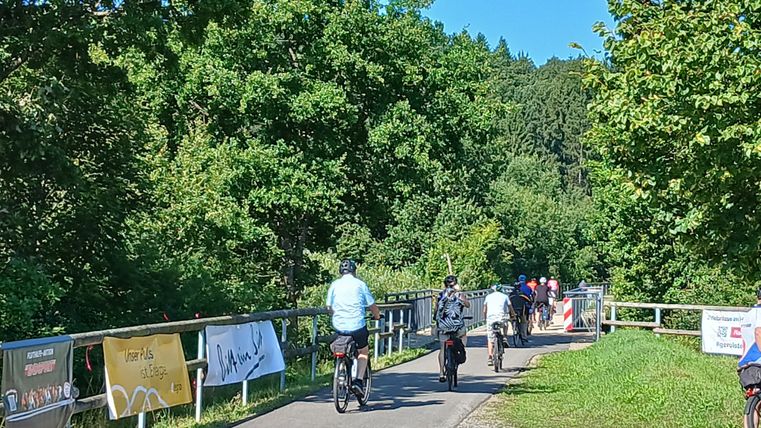 Radfahrer auf einem asphaltierten Radweg umgeben von Bäumen.