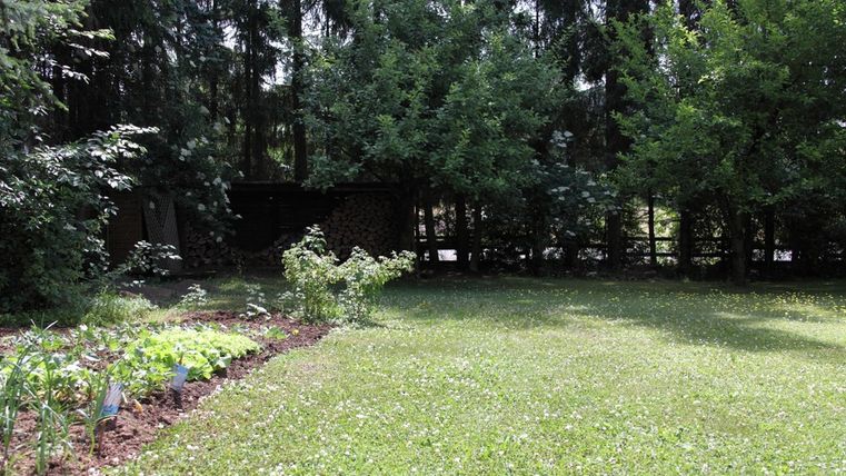 Ein grüner Garten mit frisch gemähtem Rasen und bunten Pflanzen. Im Hintergrund sind Bäume und eine kleine Hütte zu sehen.