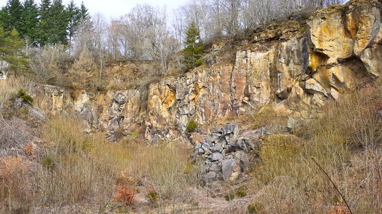 Basaltsteinbruch mit Bäumen und Sträuchern im Winter.