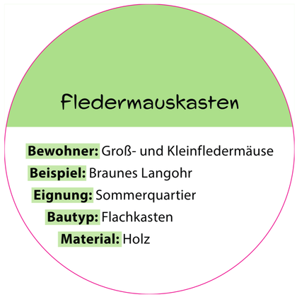 Informationsschild "Fledermauskasten"