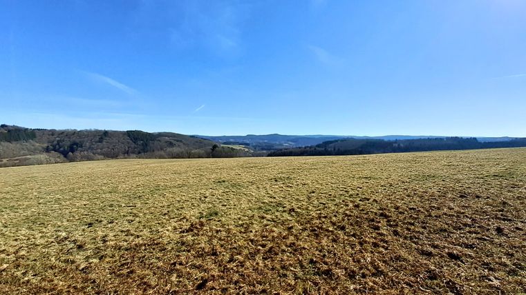 Vaste paysage de prairies et de collines sous un ciel bleu et clair.