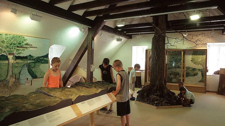 Kinder erkunden ein Landschaftsmodell in einem Ausstellungsraum mit Holzbalken und Baumdarstellung. Die Wände sind mit Naturbildern dekoriert.