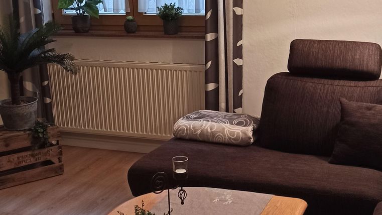 Un salon confortable avec un canapé marron et une table en bois. De grandes fenêtres laissent entrer la lumière et des plantes créent une atmosphère agréable.