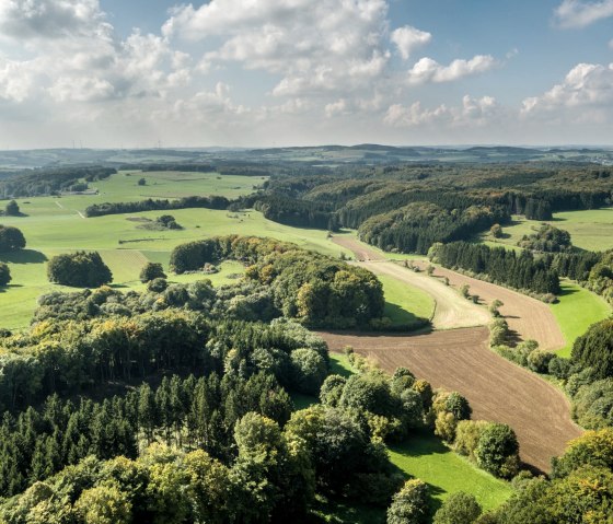 Ausblick bei der Wanderung auf dem Schneifel-Pfad, &copy; Eifel Tourismus GmbH, D. Ketz