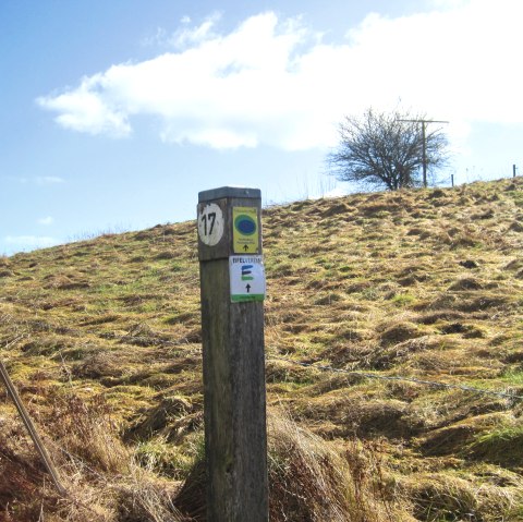 A wooden pillar with hiking trail signs stands on a grassy hill under a blue sky. A tree is visible in the background., © Touristik GmbH Gerolsteiner Land, Ute Klinkhammer