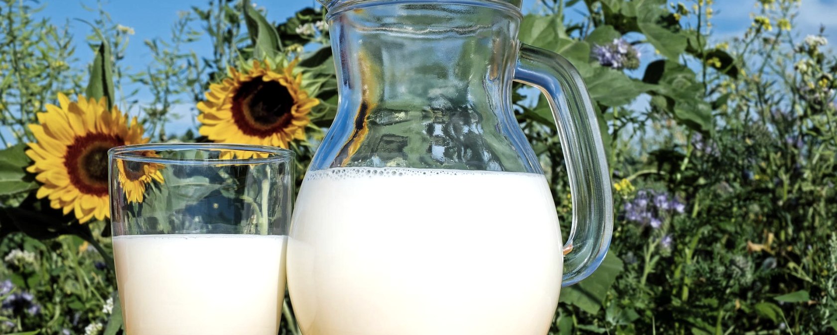 Milch, © pixabay