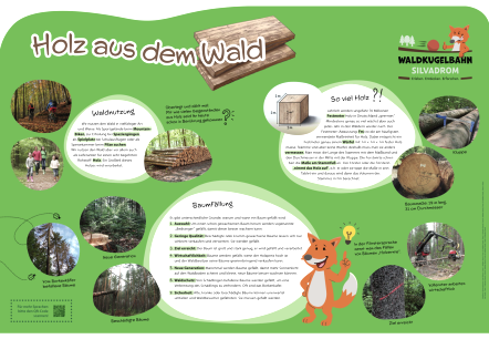 Groot informatiebord "Hout uit het bos" met informatie over bosgebruik, houtkap en houtkap.