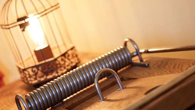 Eine Mausefalle aus Metall liegt auf einem Holztisch. Im Hintergrund ist eine dekorative Lampe zu sehen.