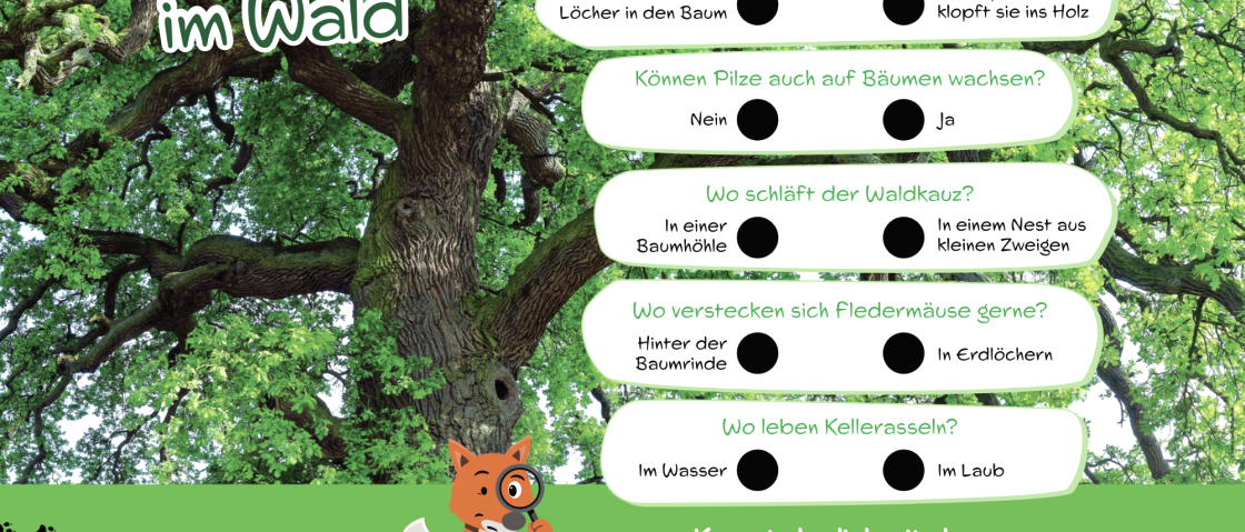 Gro&szlig;es Quiz-Schild zu "B&auml;ume im Wald" mit Entweder/Oder-Fragen.