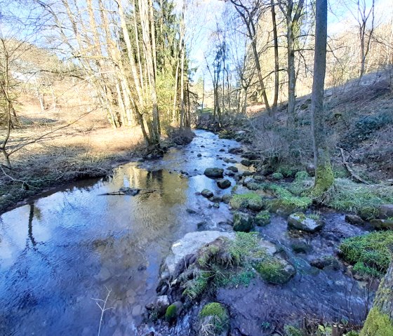 Een helder beekje stroomt door een bos met met mos bedekte stenen en kale bomen. De zon schijnt door de takken., © Touristik GmbH Gerolsteiner Land, Ute Klinkhammer