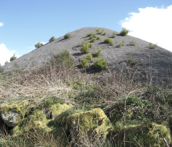 Een kale heuvel met verspreide vegetatie en mos op de voorgrond onder een blauwe lucht., &copy; Touristik GmbH Gerolsteiner Land, Ute Klinkhammer