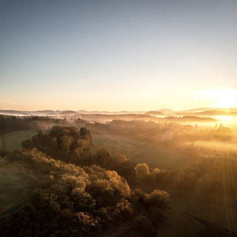 Weitläufige dunkle Waldlandschaft wird mit Sonnenstrahlen des Sonnenaufgangs beleuchtet.