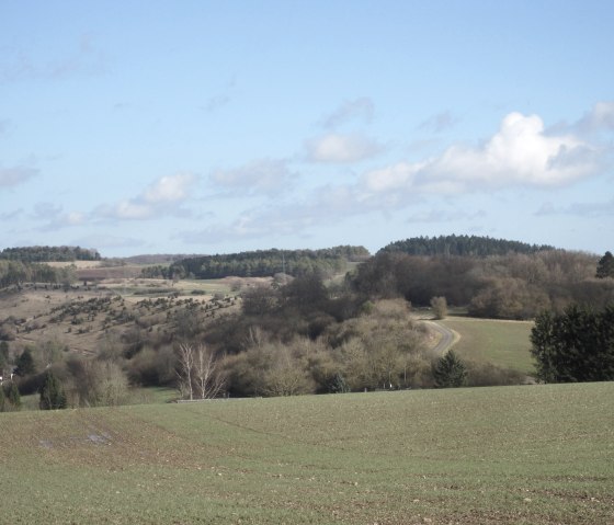 H&uuml;gelige Landschaft mit gr&uuml;nen Feldern, B&auml;umen und einem gewundenen Weg. Der Himmel ist blau mit einigen Wolken., &copy; Touristik GmbH Gerolsteiner Land, Ute Klinkhammer