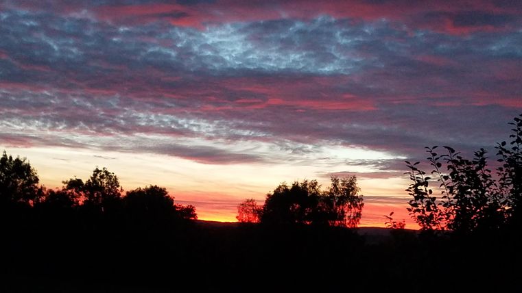 Ein schöner Sonnenuntergang mit bunten Wolken und Silhouetten von Bäumen im Vordergrund. Der Himmel strahlt in warmen Farben.