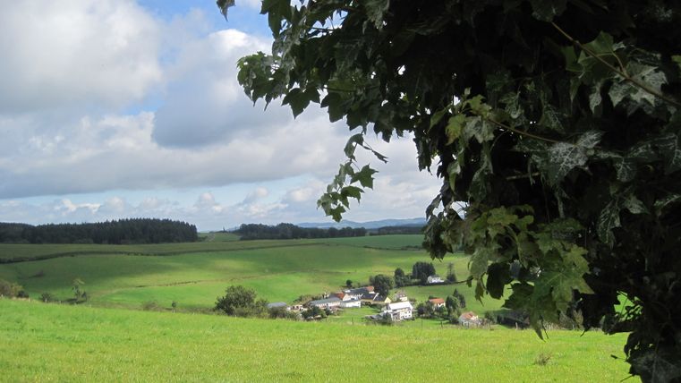 Landschaft mit grünen Feldern, Dorf im Hintergrund und Baumblättern im Vordergrund.