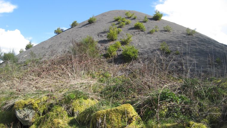 Ein Hügel mit spärlichem Pflanzenbewuchs unter blauem Himmel.