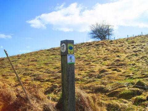 Wooden pillar with hiking trail signs on a hill.