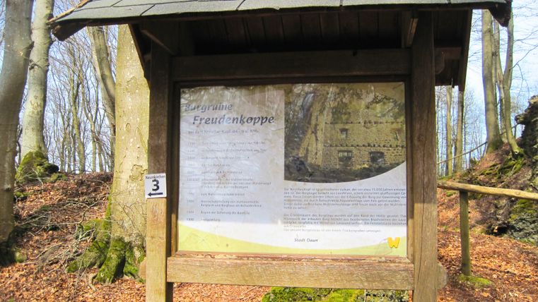Informatiebord over de kasteelruïne Freudenkoppe in het bos.